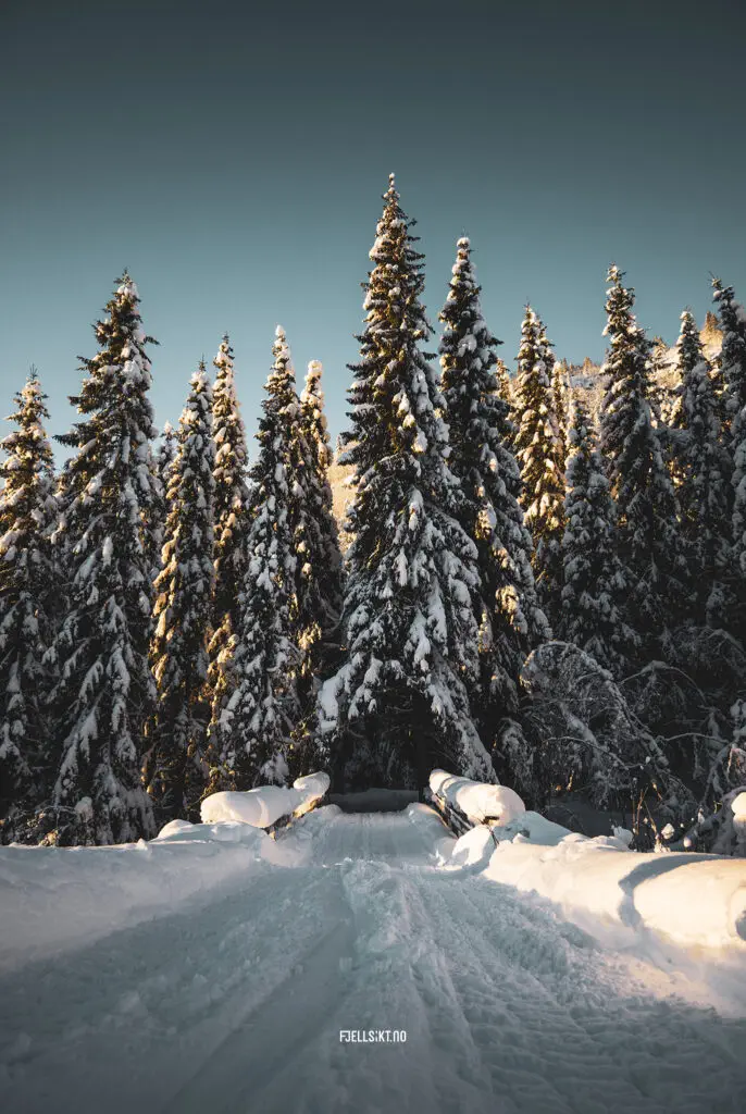 Vinterlandskapet i Luksefjell viser hva denne naturen kan gi oss! Et bilde verdt å ha på veggen. Luksefjell er ikke så langt fra vakre Svanstul heller - Flotte skiområder i Skien.