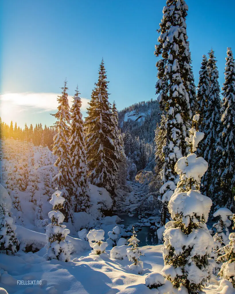Luksefjell, Skien - Vestfold og Telemark- Norge. Tatt av Kenneth Hauen