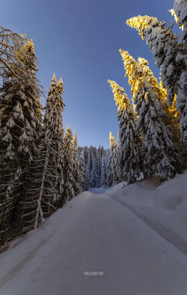 Luksefjell, Økteren Skien - Telemark - Norge. Tatt av Kenneth Hauen
