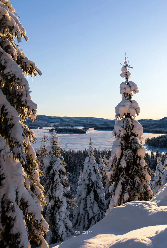 Vinterlandskapet i Luksefjell viser hva denne naturen kan gi oss! Et bilde verdt å ha på veggen. Luksefjell er ikke så langt fra vakre Svanstul heller - Flotte skiområder i Skien.