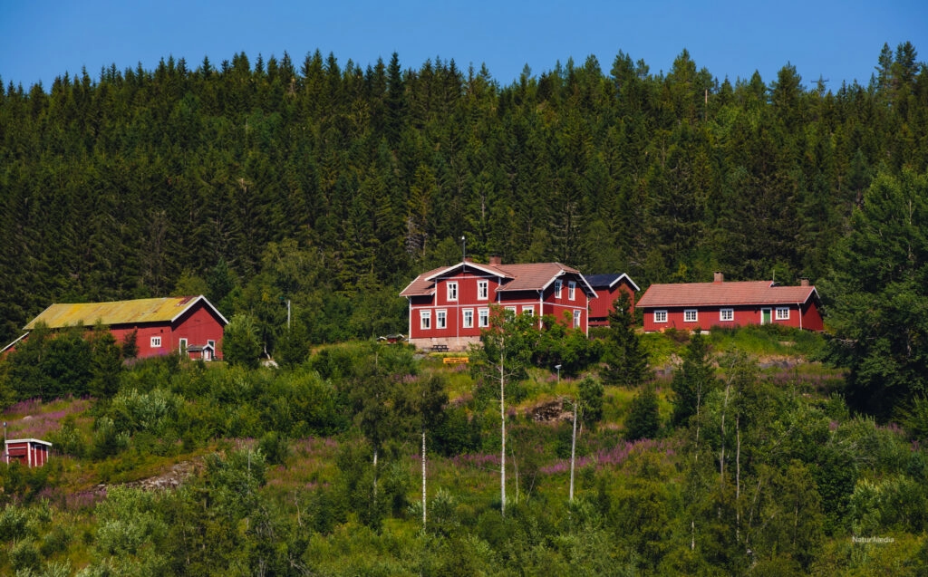 Bestul Jakthus, Luksefjell i Skien 25 Bestul er et lite usjenert sted i idylliske Luksefjell i Skien og en av de eldste gårdene i Luksefjell. Her er naturen på hver eneste side du snur deg, øverst i Luksefjell er det vakre Fjellområder, Naturreservat, skau, vann og myrer og tilbyr fisking, bading, skogturer, fjellturer m.m om sommeren, og om vinteren er det ski-turer som står på menyen. Det har siden 1400-tallet har det bodd mennesker på Bestul. © Kenneth Hauen