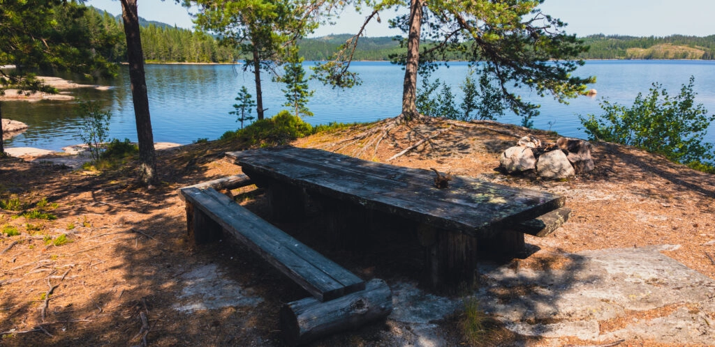 Bestul Jakthus, Luksefjell i Skien 24 Bestul er et lite usjenert sted i idylliske Luksefjell i Skien og en av de eldste gårdene i Luksefjell. Her er naturen på hver eneste side du snur deg, øverst i Luksefjell er det vakre Fjellområder, Naturreservat, skau, vann og myrer og tilbyr fisking, bading, skogturer, fjellturer m.m om sommeren, og om vinteren er det ski-turer som står på menyen. Det har siden 1400-tallet har det bodd mennesker på Bestul.