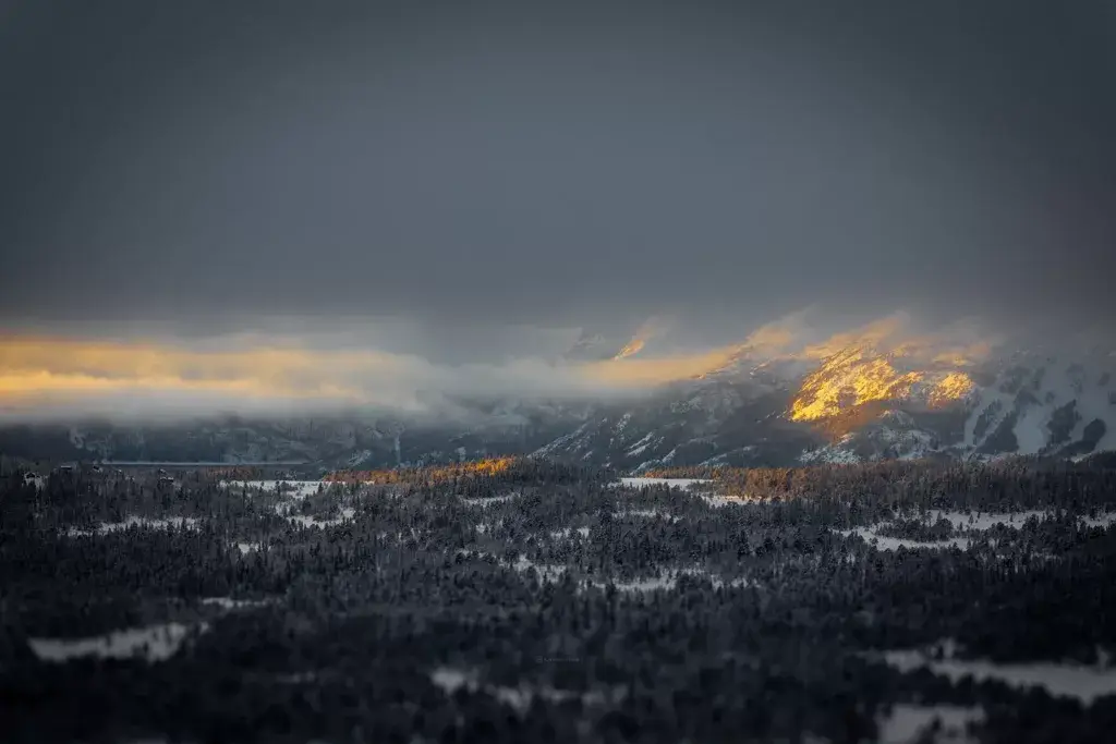 Rauland, beliggende i Telemark-regionen i Norge, fengsler med sin uberørte naturskjønnhet. Omgitt av frodige skoger og rolige innsjøer, byr det på spektakulære utsikter over bølgende åser og majestetiske fjell. De rolige landskapene inviterer til utforskning, enten det er å vandre langs grønne stier eller stå på ski ned puddersnødekte skråninger. Raulands sjarm ligger i dens harmoniske blanding av uberørt villmark og utendørs eventyr, noe som gjør det til en oase for naturinteresserte året rundt.