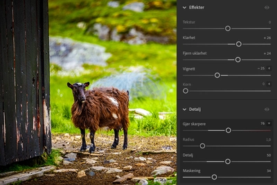 Forkortelser innen Fotografi: En detaljert guide 17 Adobe Lightroom Redigering av farger og detaljer