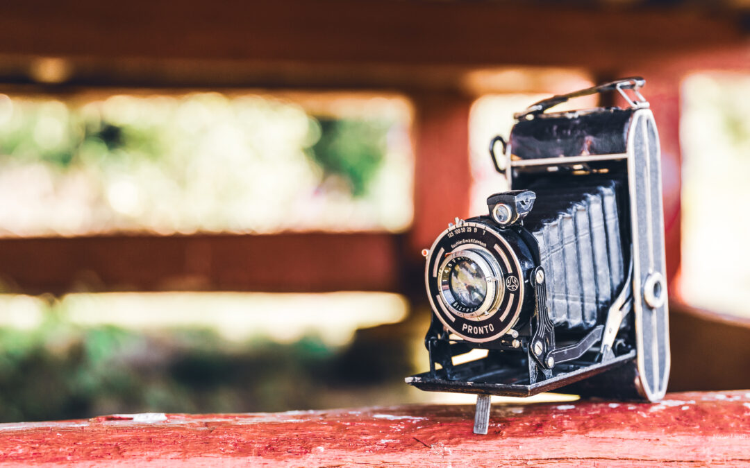 19 Foto tips til nybegynnere